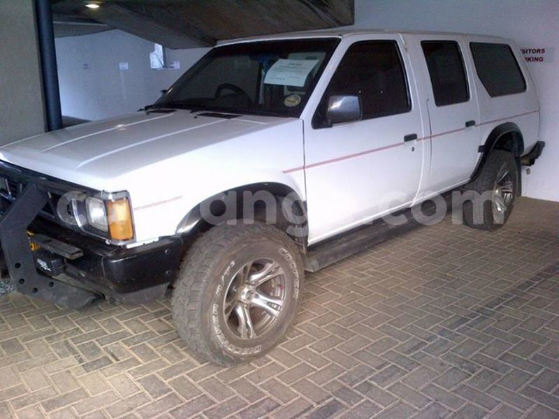 Big with watermark 16298494 1556577997703333 5880869471342312895 n