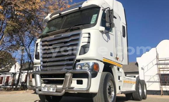 Buy Used Freightliner 90 Cum 500 White Truck in Windhoek in Namibia Buy Used Freightliner 90 Cum 500 White Truck in Windhoek in Namibia