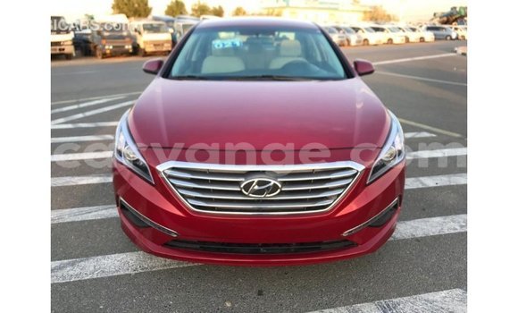 Acheter Import Voiture Hyundai Sonata Rouge à Import - Dubai, Namibie Acheter Import Voiture Hyundai Sonata Rouge à Import - Dubai, Namibie