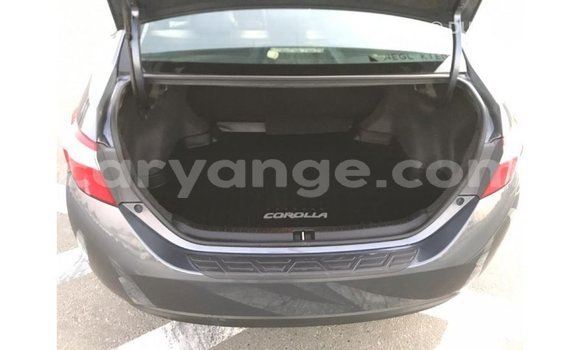 Acheter Import Voiture Toyota Corolla Autre à Import - Dubai, Namibie Acheter Import Voiture Toyota Corolla Autre à Import - Dubai, Namibie