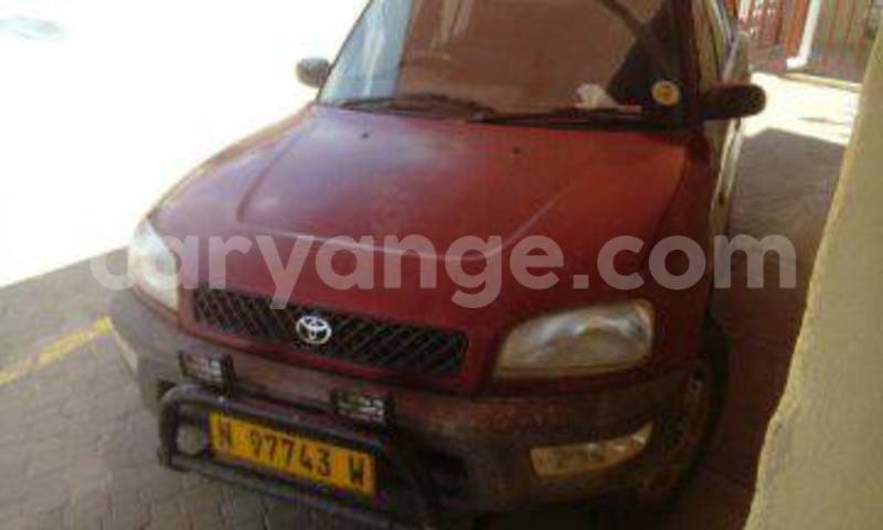 Big with watermark 15995194 1275714392474805 4908956115904413786 o