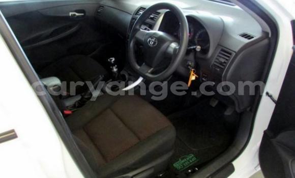 Buy Used Toyota Corolla White Car in Grootfontein in Namibia Buy Used Toyota Corolla White Car in Grootfontein in Namibia