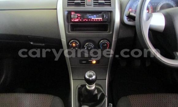 Buy Used Toyota Corolla White Car in Grootfontein in Namibia Buy Used Toyota Corolla White Car in Grootfontein in Namibia