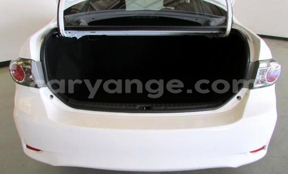 Buy Used Toyota Corolla White Car in Grootfontein in Namibia Buy Used Toyota Corolla White Car in Grootfontein in Namibia