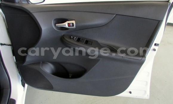 Buy Used Toyota Corolla White Car in Grootfontein in Namibia Buy Used Toyota Corolla White Car in Grootfontein in Namibia
