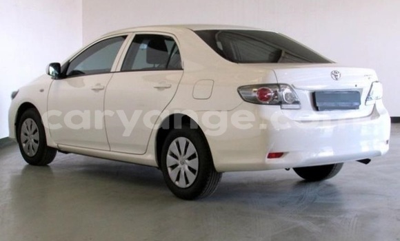 Buy Used Toyota Corolla White Car in Grootfontein in Namibia Buy Used Toyota Corolla White Car in Grootfontein in Namibia