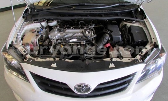 Buy Used Toyota Corolla White Car in Grootfontein in Namibia Buy Used Toyota Corolla White Car in Grootfontein in Namibia
