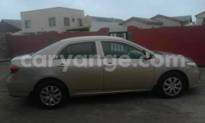 Big with watermark 15995194 1275714392474805 4908956115904413786 o