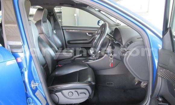 Buy Used Audi RS4 Blue Car in Windhoek in Namibia Buy Used Audi RS4 Blue Car in Windhoek in Namibia