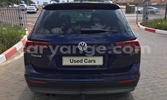 Buy Used Volkswagen Tiguan Blue Car in Karasburg in Karas Buy Used Volkswagen Tiguan Blue Car in Karasburg in Karas
