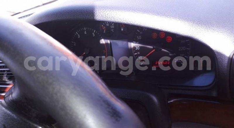 Big with watermark 16299227 1284429018289475 5943388659634541262 n