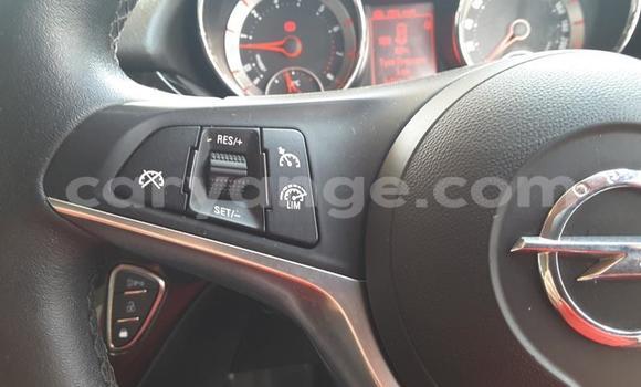Buy Used Opel Adam Beige Car in Windhoek in Namibia Buy Used Opel Adam Beige Car in Windhoek in Namibia