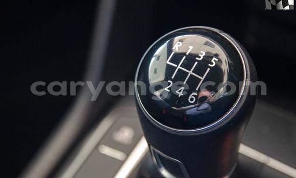 Buy Used Volkswagen Tiguan Beige Car in Windhoek in Namibia Buy Used Volkswagen Tiguan Beige Car in Windhoek in Namibia