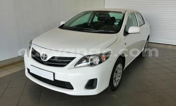 Buy Used Toyota Corolla White Car in Windhoek in Namibia Buy Used Toyota Corolla White Car in Windhoek in Namibia