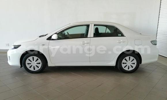 Buy Used Toyota Corolla White Car in Windhoek in Namibia Buy Used Toyota Corolla White Car in Windhoek in Namibia