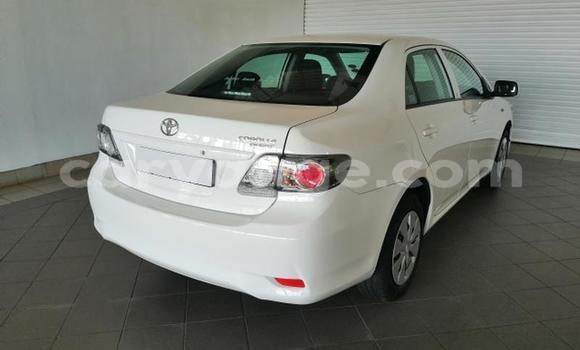 Buy Used Toyota Corolla White Car in Windhoek in Namibia Buy Used Toyota Corolla White Car in Windhoek in Namibia