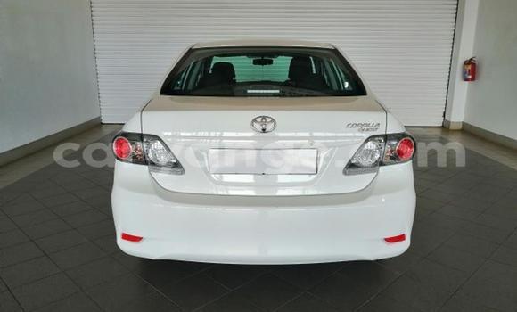 Buy Used Toyota Corolla White Car in Windhoek in Namibia Buy Used Toyota Corolla White Car in Windhoek in Namibia