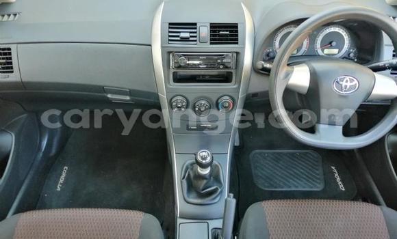 Buy Used Toyota Corolla White Car in Windhoek in Namibia Buy Used Toyota Corolla White Car in Windhoek in Namibia