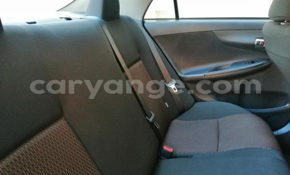 Buy Used Toyota Corolla White Car in Windhoek in Namibia Buy Used Toyota Corolla White Car in Windhoek in Namibia