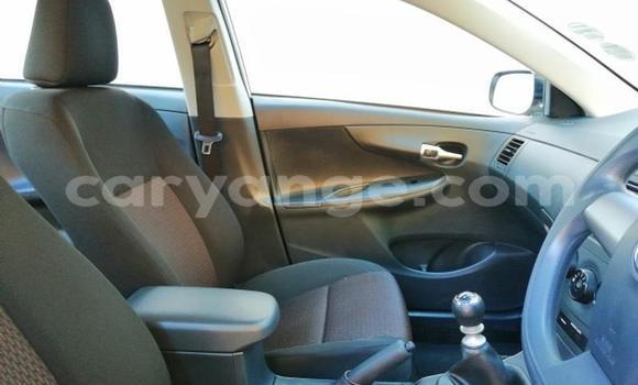 Buy Used Toyota Corolla White Car in Windhoek in Namibia Buy Used Toyota Corolla White Car in Windhoek in Namibia