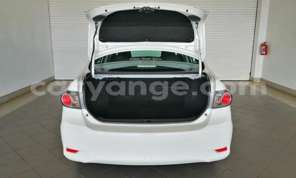 Buy Used Toyota Corolla White Car in Windhoek in Namibia Buy Used Toyota Corolla White Car in Windhoek in Namibia