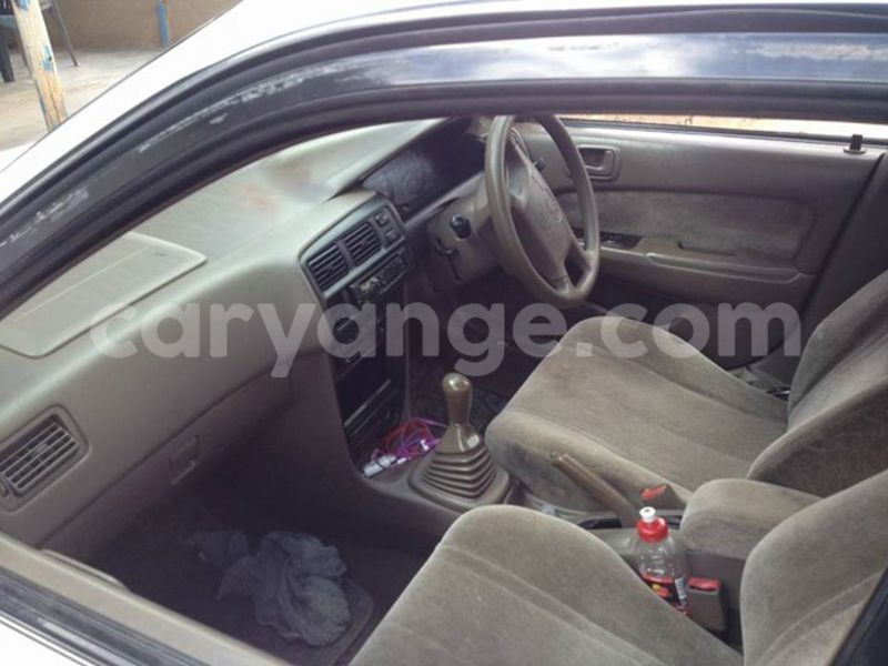 Big with watermark 16265183 1284429024956141 5754992797401084802 n