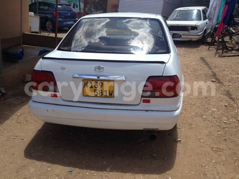 Big with watermark 16298494 1556577997703333 5880869471342312895 n