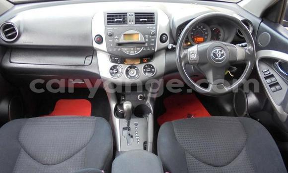 Buy Used Toyota RAV4 Other Car in Windhoek in Namibia Buy Used Toyota RAV4 Other Car in Windhoek in Namibia