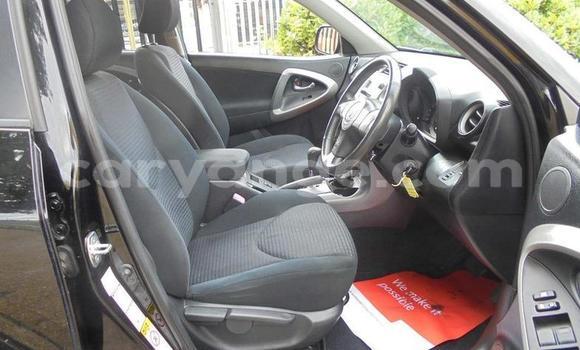 Buy Used Toyota RAV4 Other Car in Windhoek in Namibia Buy Used Toyota RAV4 Other Car in Windhoek in Namibia