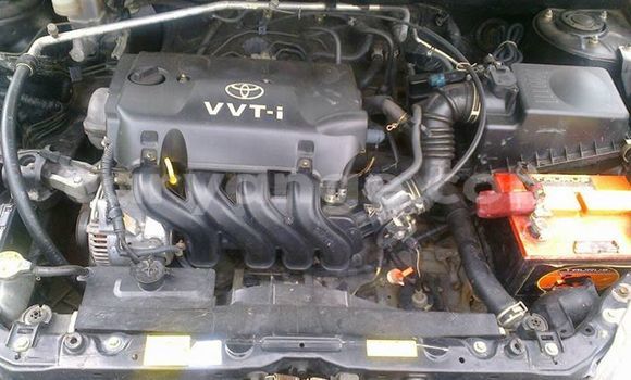 Buy Used Toyota Runx Black Car in Windhoek in Namibia Buy Used Toyota Runx Black Car in Windhoek in Namibia