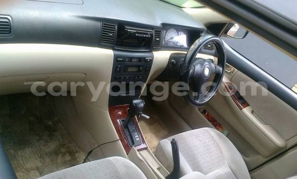 Buy Used Toyota Runx Black Car in Windhoek in Namibia Buy Used Toyota Runx Black Car in Windhoek in Namibia