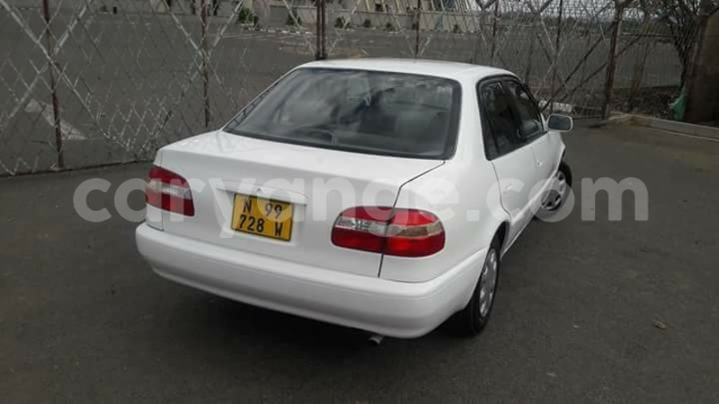 Big with watermark 16265183 1284429024956141 5754992797401084802 n