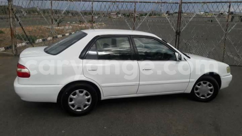 Big with watermark 15995194 1275714392474805 4908956115904413786 o