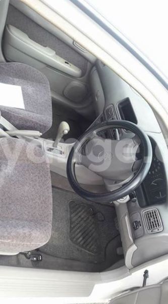 Big with watermark 16298494 1556577997703333 5880869471342312895 n