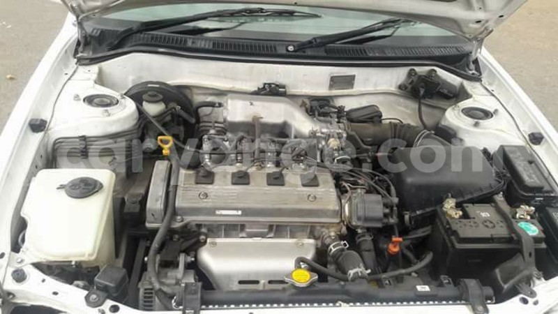 Big with watermark 16299227 1284429018289475 5943388659634541262 n