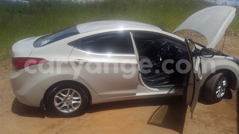 Big with watermark 16298494 1556577997703333 5880869471342312895 n