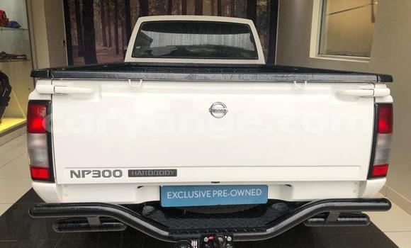 Buy Used Nissan NP 300 White Car in Windhoek in Namibia Buy Used Nissan NP 300 White Car in Windhoek in Namibia