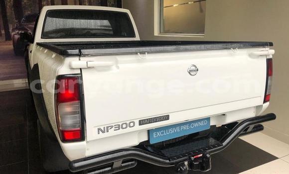 Buy Used Nissan NP 300 White Car in Windhoek in Namibia Buy Used Nissan NP 300 White Car in Windhoek in Namibia