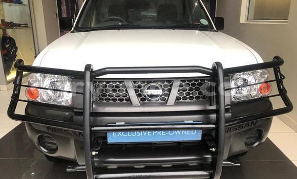 Buy Used Nissan NP 300 White Car in Windhoek in Namibia Buy Used Nissan NP 300 White Car in Windhoek in Namibia