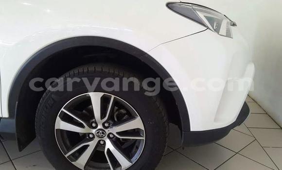 Buy Used Toyota RAV4 White Car in Windhoek in Namibia Buy Used Toyota RAV4 White Car in Windhoek in Namibia