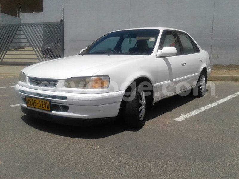 Big with watermark 15995194 1275714392474805 4908956115904413786 o