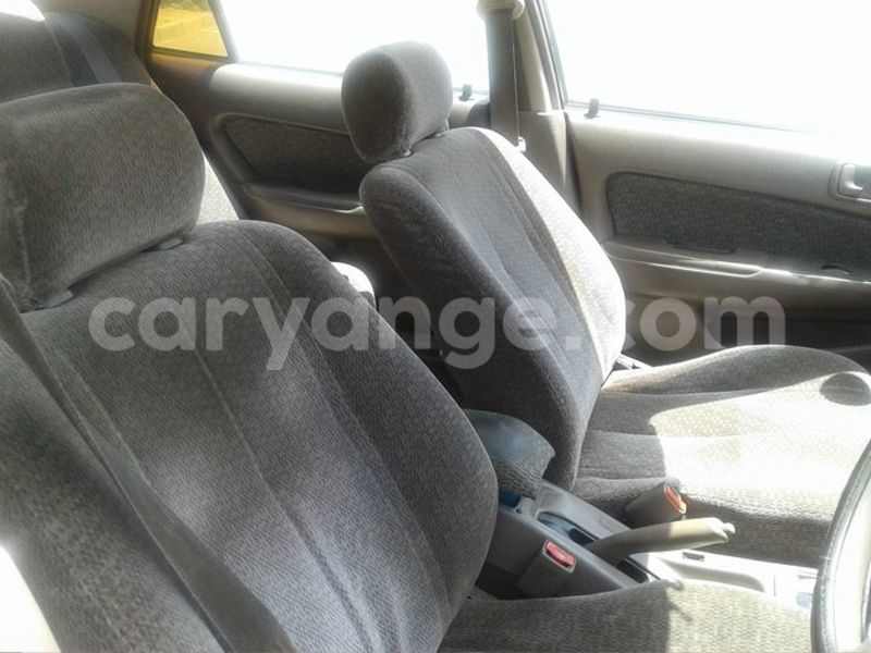 Big with watermark 16299227 1284429018289475 5943388659634541262 n