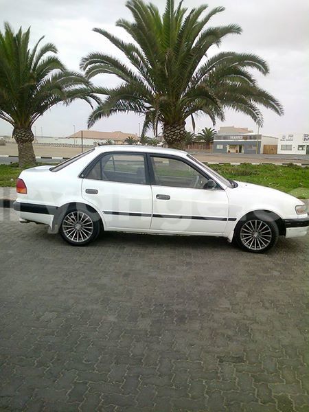 Big with watermark 16265183 1284429024956141 5754992797401084802 n