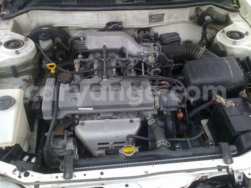 Big with watermark 16298494 1556577997703333 5880869471342312895 n