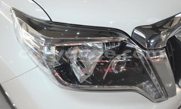 Acheter Occasion Voiture Toyota Land Cruiser Blanc à Grootfontein, Namibie Acheter Occasion Voiture Toyota Land Cruiser Blanc à Grootfontein, Namibie