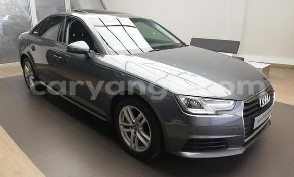 Acheter Occasion Voiture Audi A4 Gris à Henties Bay, Erongo Acheter Occasion Voiture Audi A4 Gris à Henties Bay, Erongo