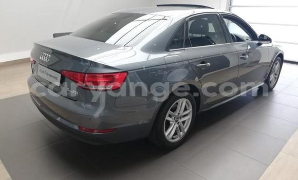 Acheter Occasion Voiture Audi A4 Gris à Henties Bay, Erongo Acheter Occasion Voiture Audi A4 Gris à Henties Bay, Erongo