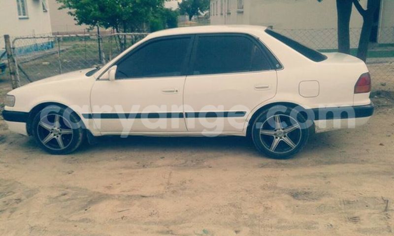 Big with watermark 15995194 1275714392474805 4908956115904413786 o