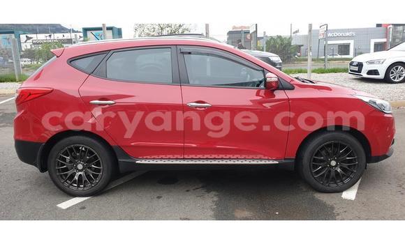 Buy Used Hyundai Ix35 Red Car in Katima Mulilo in Caprivi Buy Used Hyundai Ix35 Red Car in Katima Mulilo in Caprivi