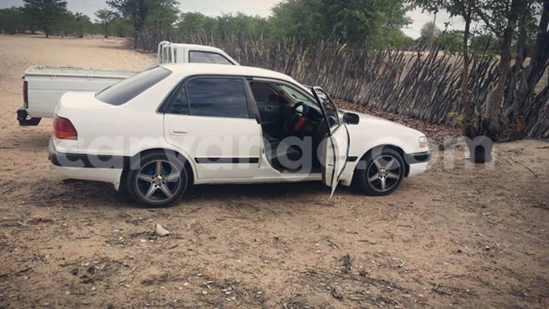 Big with watermark 16299227 1284429018289475 5943388659634541262 n